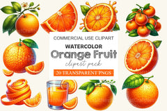 Orange Fruit Clipart Bundle - CraftNest - Digital Crafting and Art