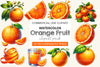 Orange Fruit Clipart Bundle