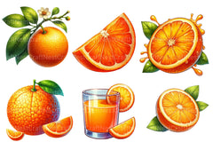 Orange Fruit Clipart Bundle - CraftNest - Digital Crafting and Art
