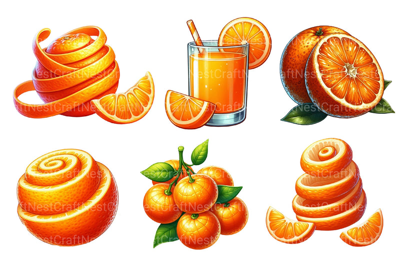 Orange Fruit Clipart Bundle - CraftNest - Digital Crafting and Art