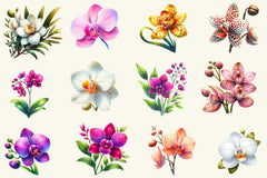 Orchid Clipart Bundle - CraftNest - Digital Crafting and Art