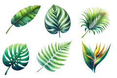Tropical Leaves Clipart Bundle - CraftNest - Digital Crafting and Art