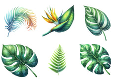 Tropical Leaves Clipart Bundle - CraftNest - Digital Crafting and Art