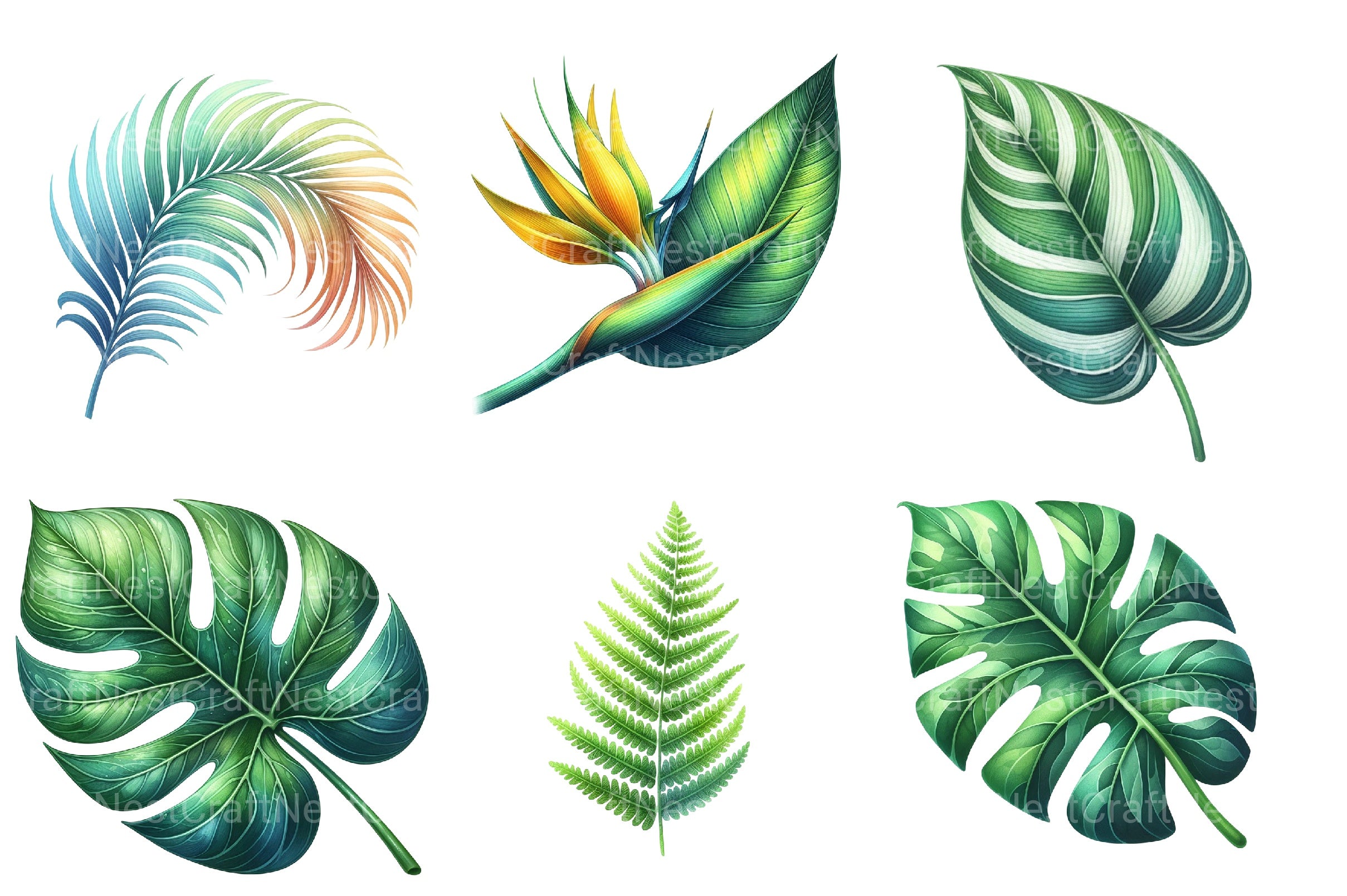Tropical Leaves Clipart Bundle - CraftNest - Digital Crafting and Art
