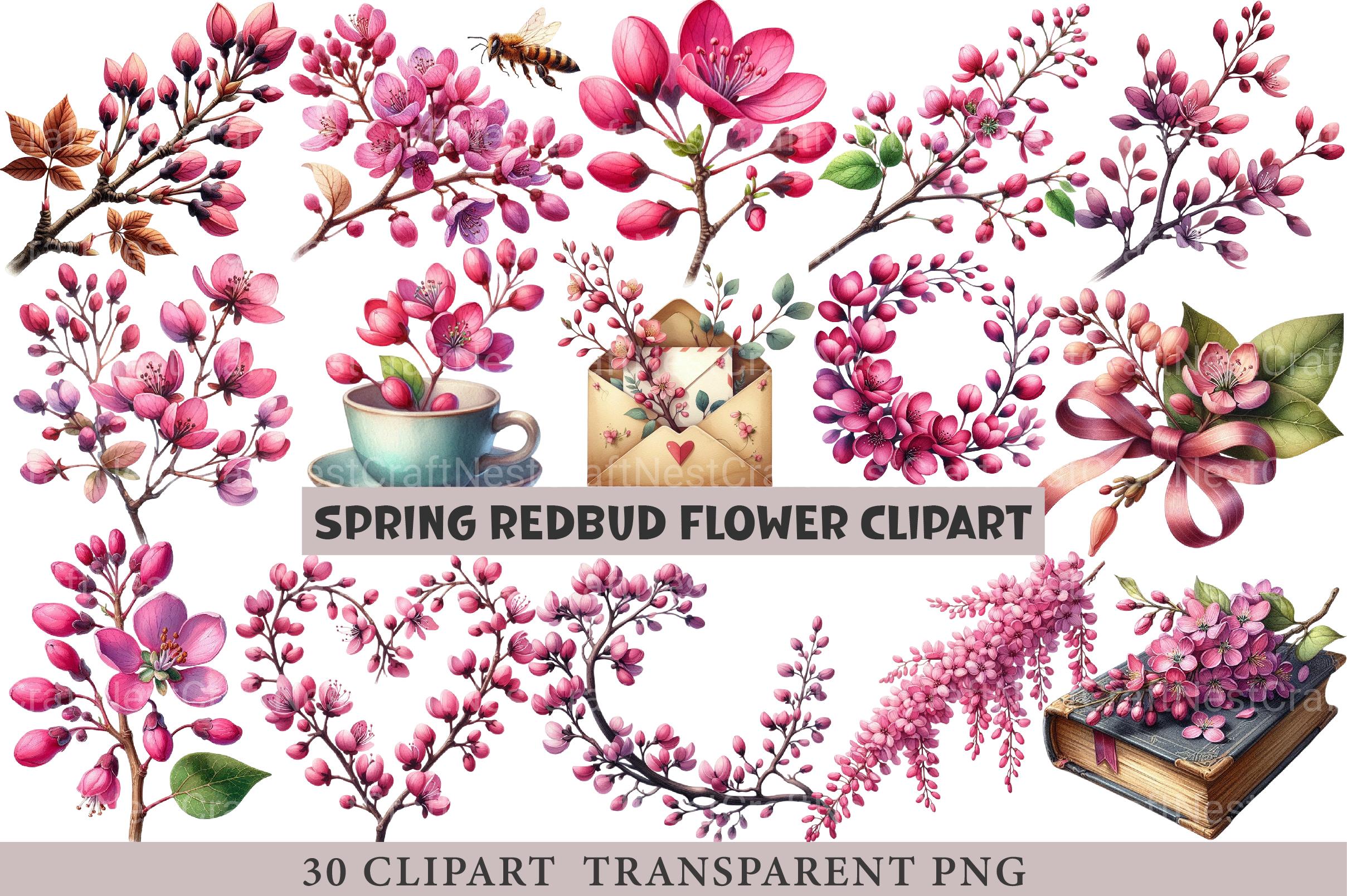 Spring Redbud Flower Clipart - CraftNest - Digital Crafting and Art