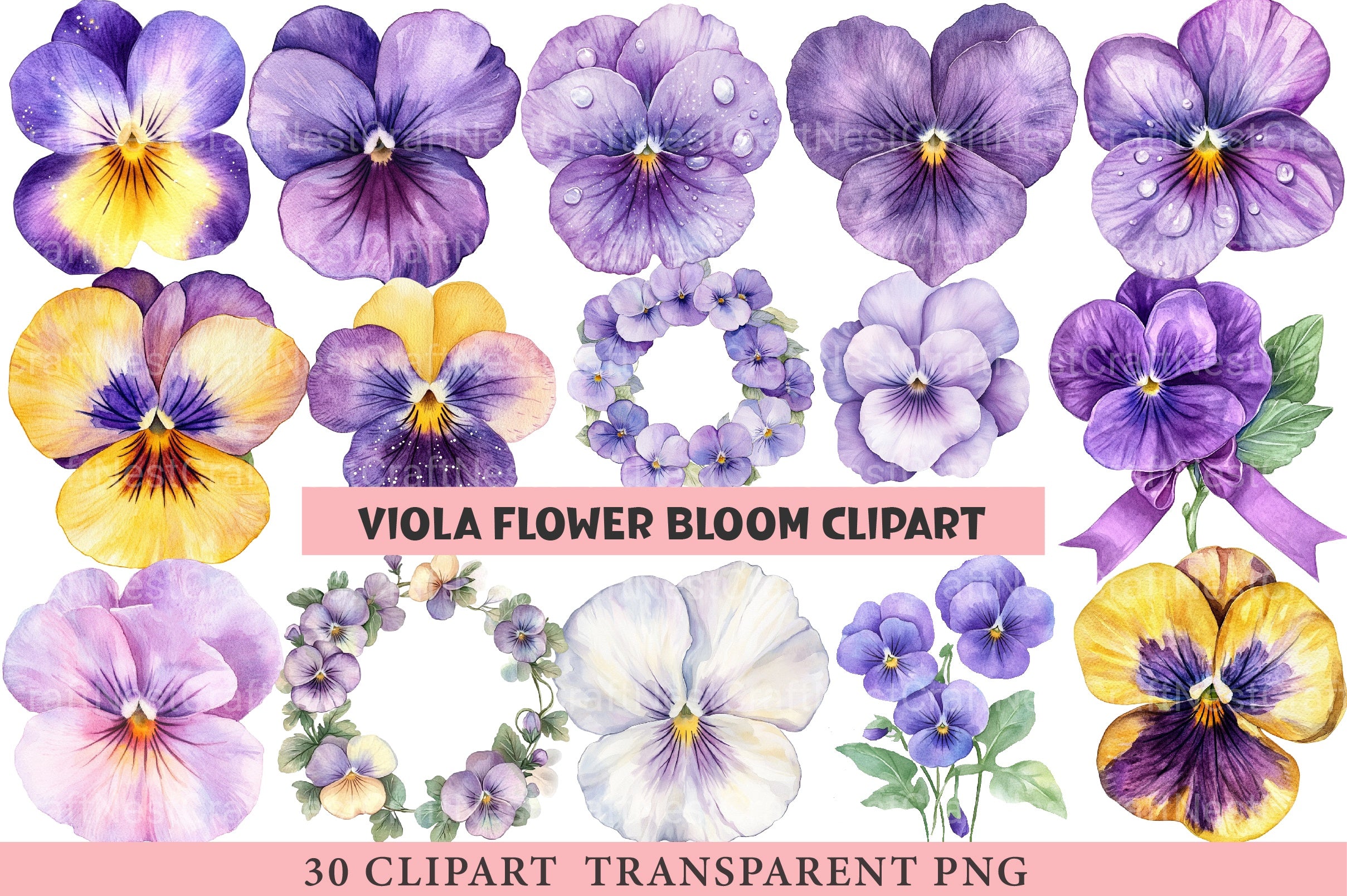 Viola Flower Bloom Clipart Bundle - CraftNest - Digital Crafting and Art