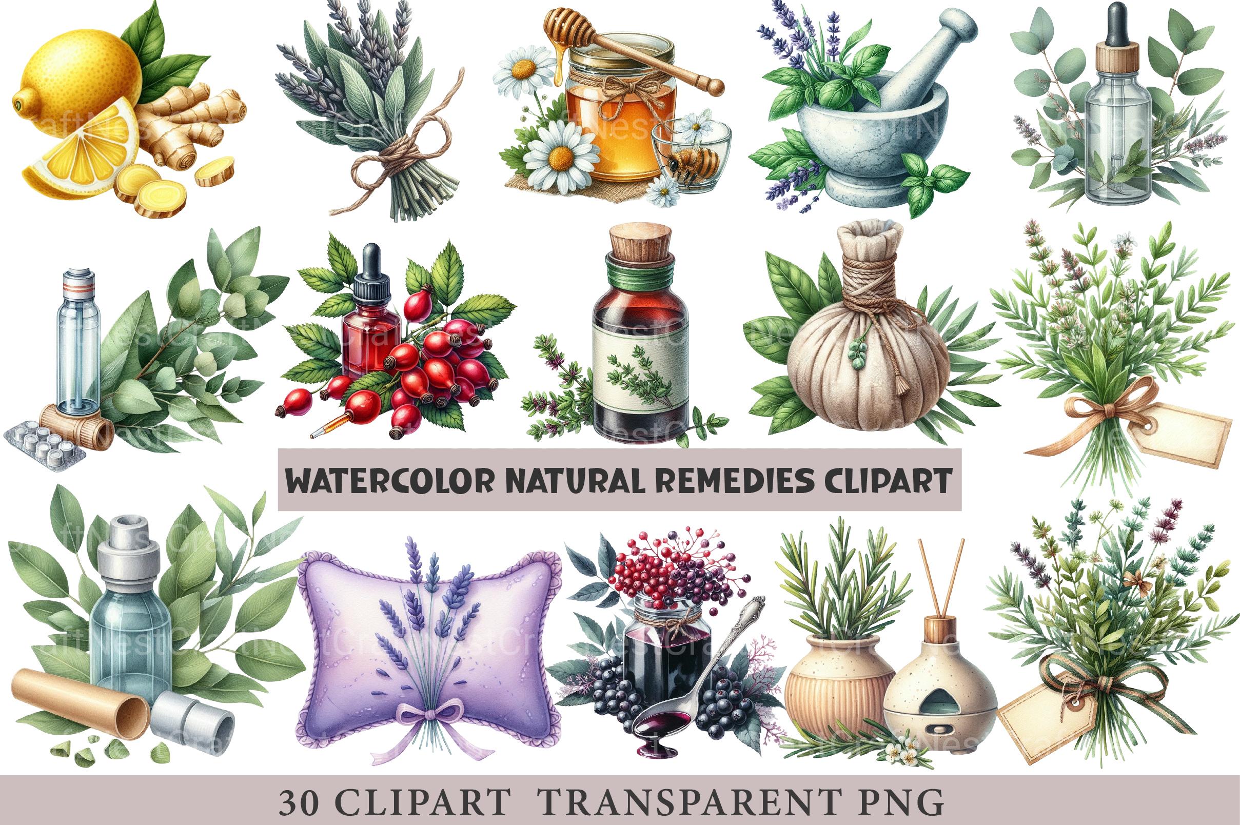 Natural Remedies Clipart - CraftNest - Digital Crafting and Art