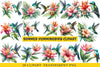 Summer Hummingbird Clipart Bundle