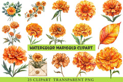 Marigold Clipart - CraftNest - Digital Crafting and Art