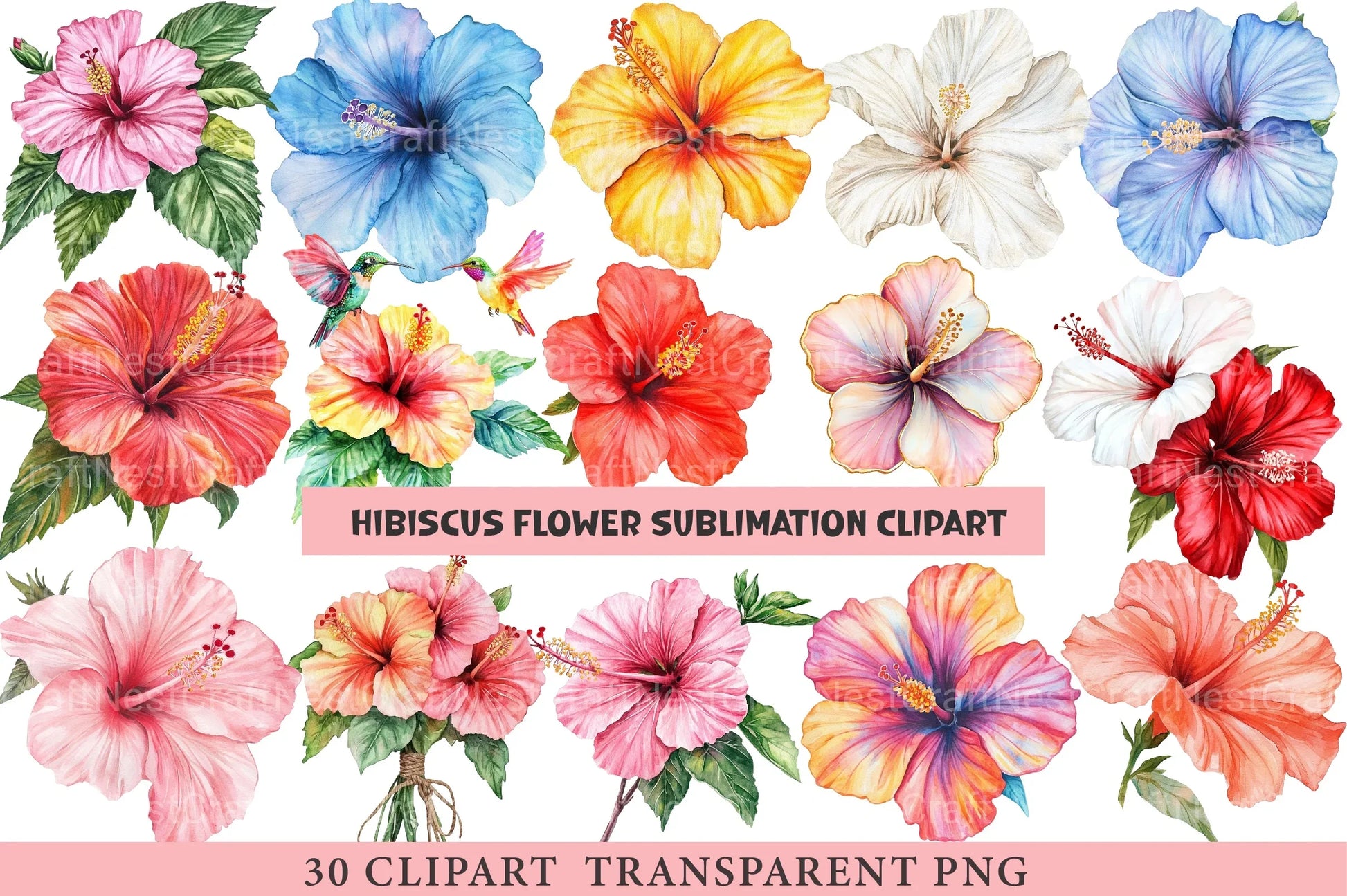 Hibiscus Flower Sublimation Clipart Bundle - CraftNest - Digital Crafting and Art