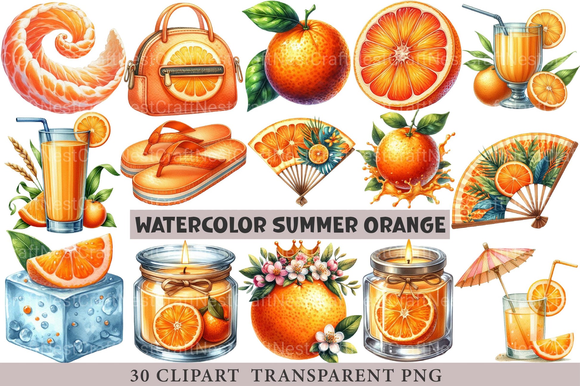 Summer Orange PNG - CraftNest - Digital Crafting and Art