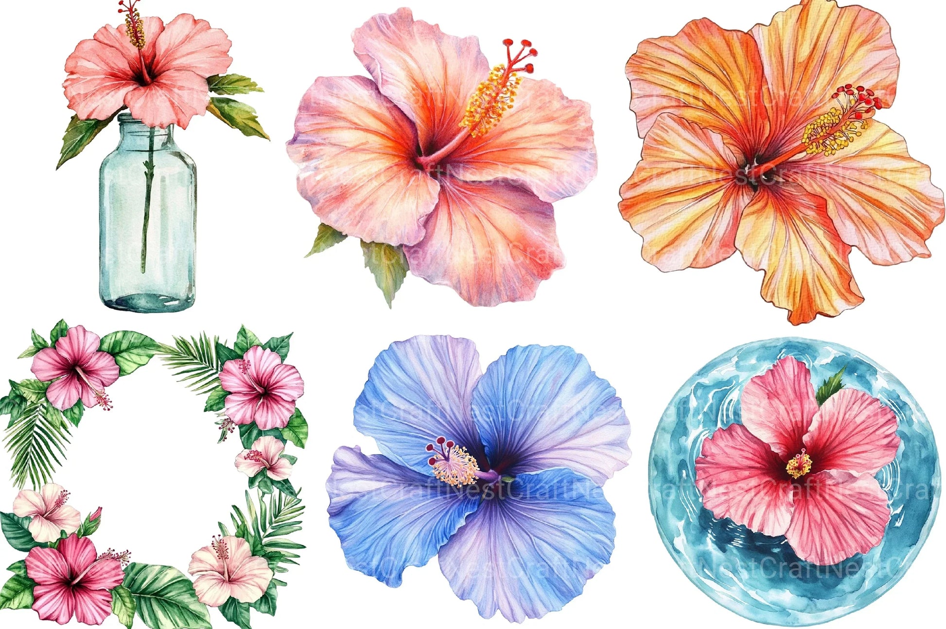 Hibiscus Flower Sublimation Clipart Bundle - CraftNest - Digital Crafting and Art
