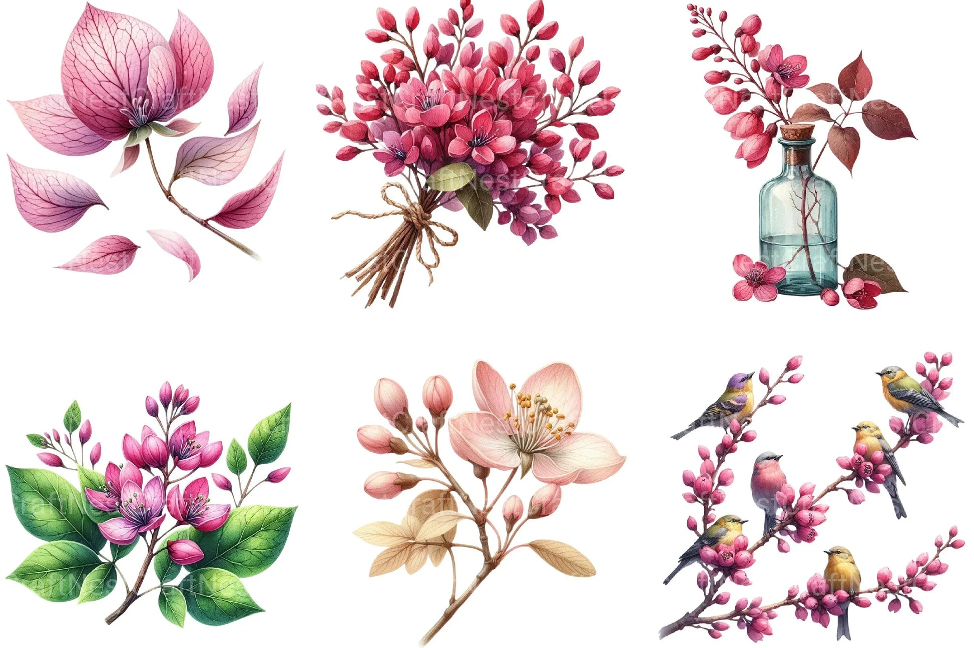 Spring Redbud Flower Clipart - CraftNest - Digital Crafting and Art