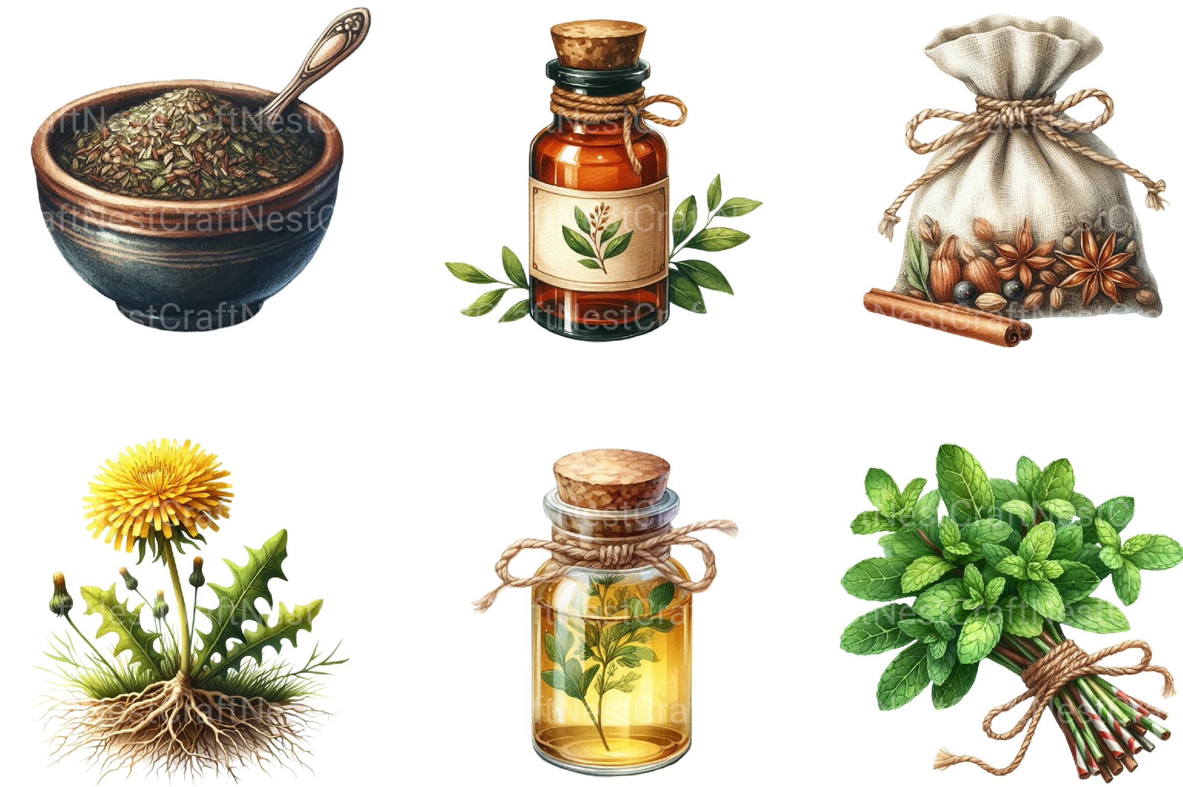Natural Remedies Clipart - CraftNest - Digital Crafting and Art