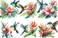 Summer Hummingbird Clipart Bundle - CraftNest - Digital Crafting and Art