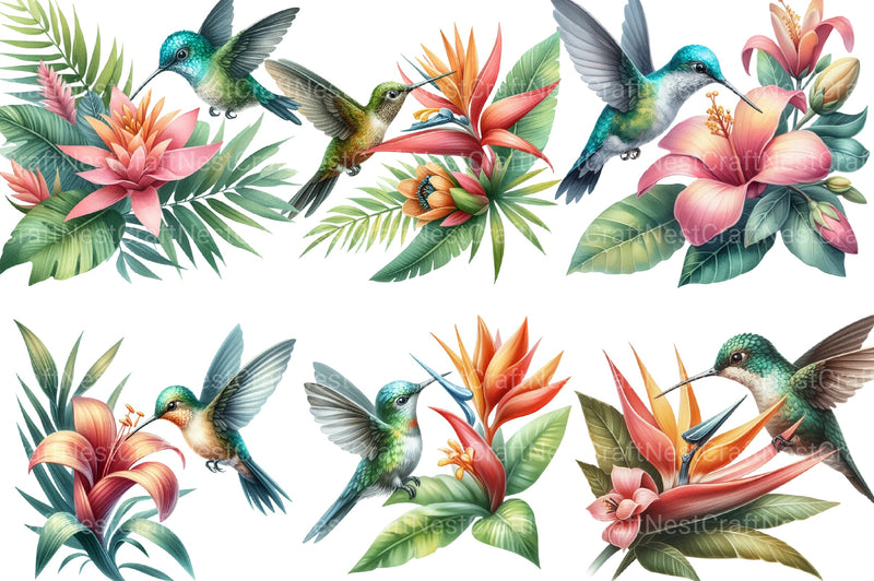 Summer Hummingbird Clipart Bundle - CraftNest - Digital Crafting and Art