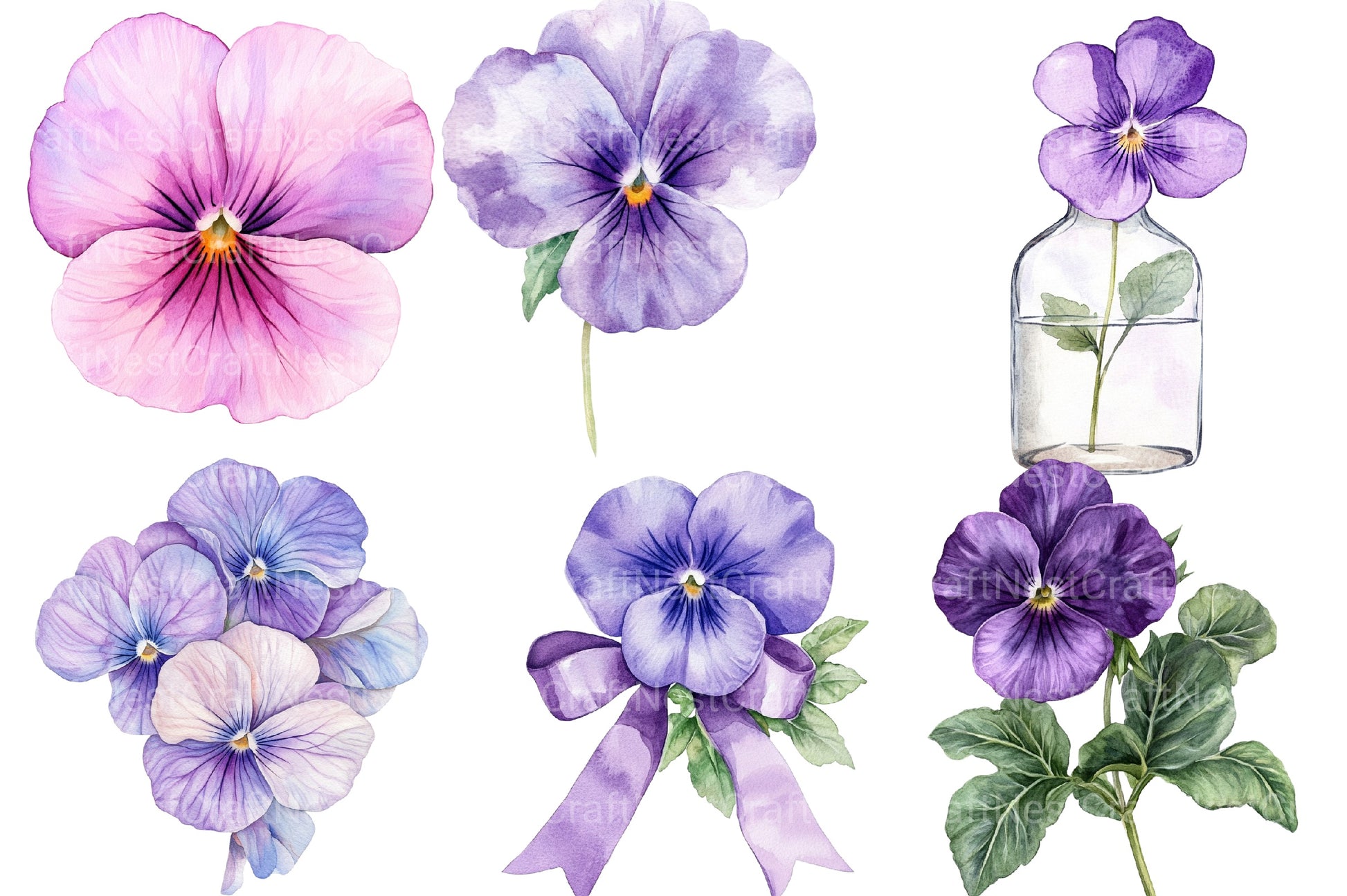 Viola Flower Bloom Clipart Bundle - CraftNest - Digital Crafting and Art