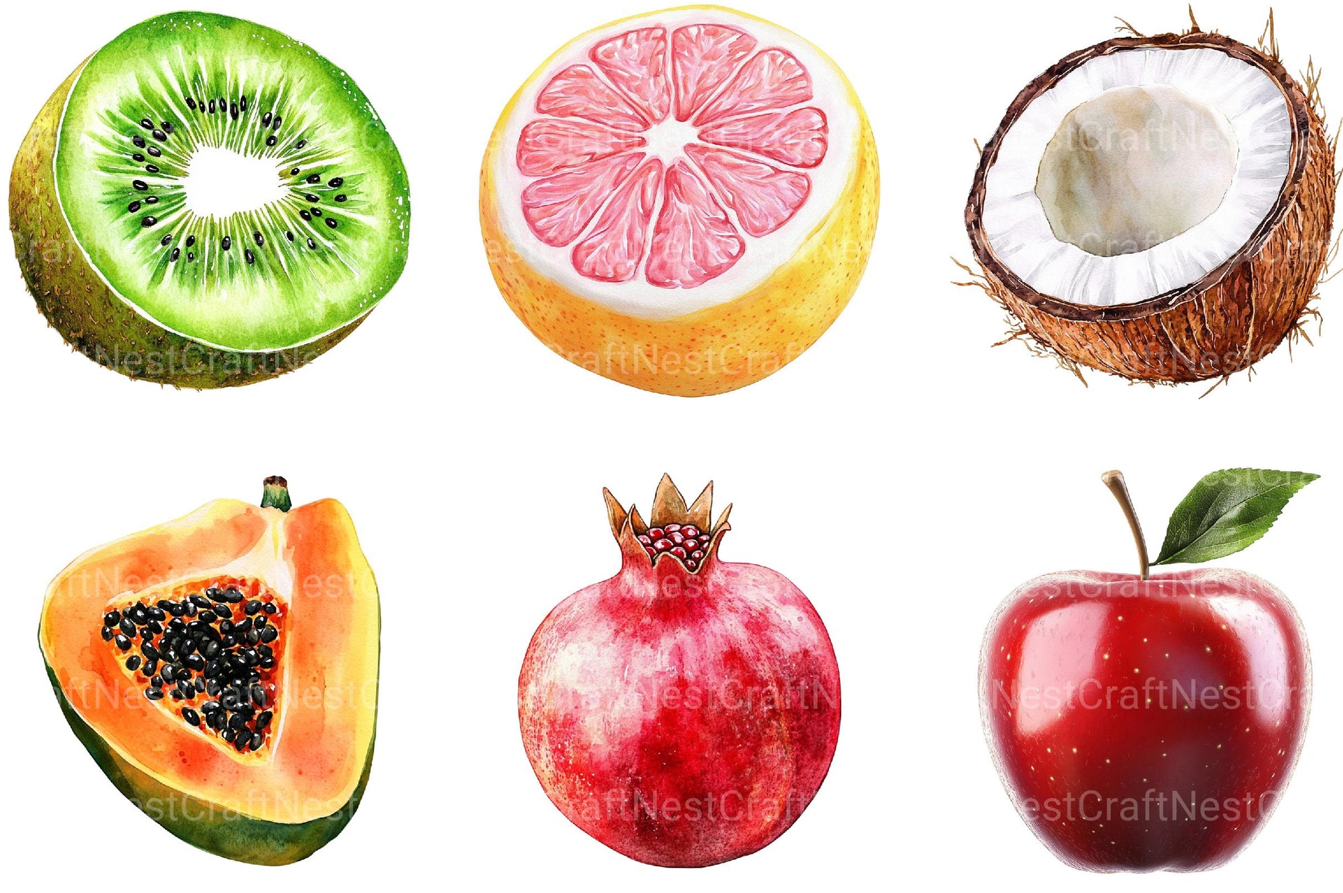 Summer Fruit Clipart - CraftNest - Digital Crafting and Art