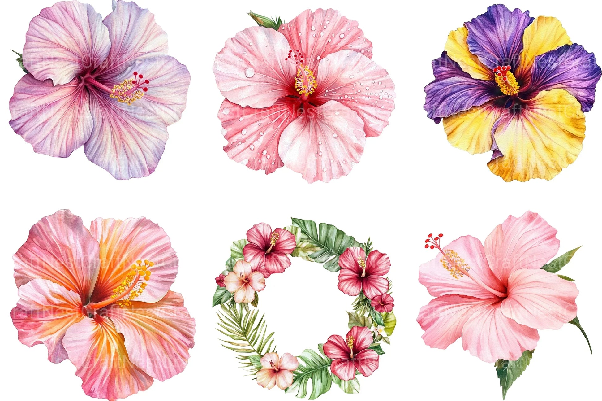Hibiscus Flower Sublimation Clipart Bundle - CraftNest - Digital Crafting and Art