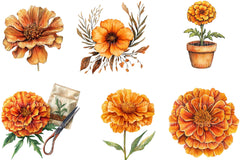 Marigold Clipart - CraftNest - Digital Crafting and Art