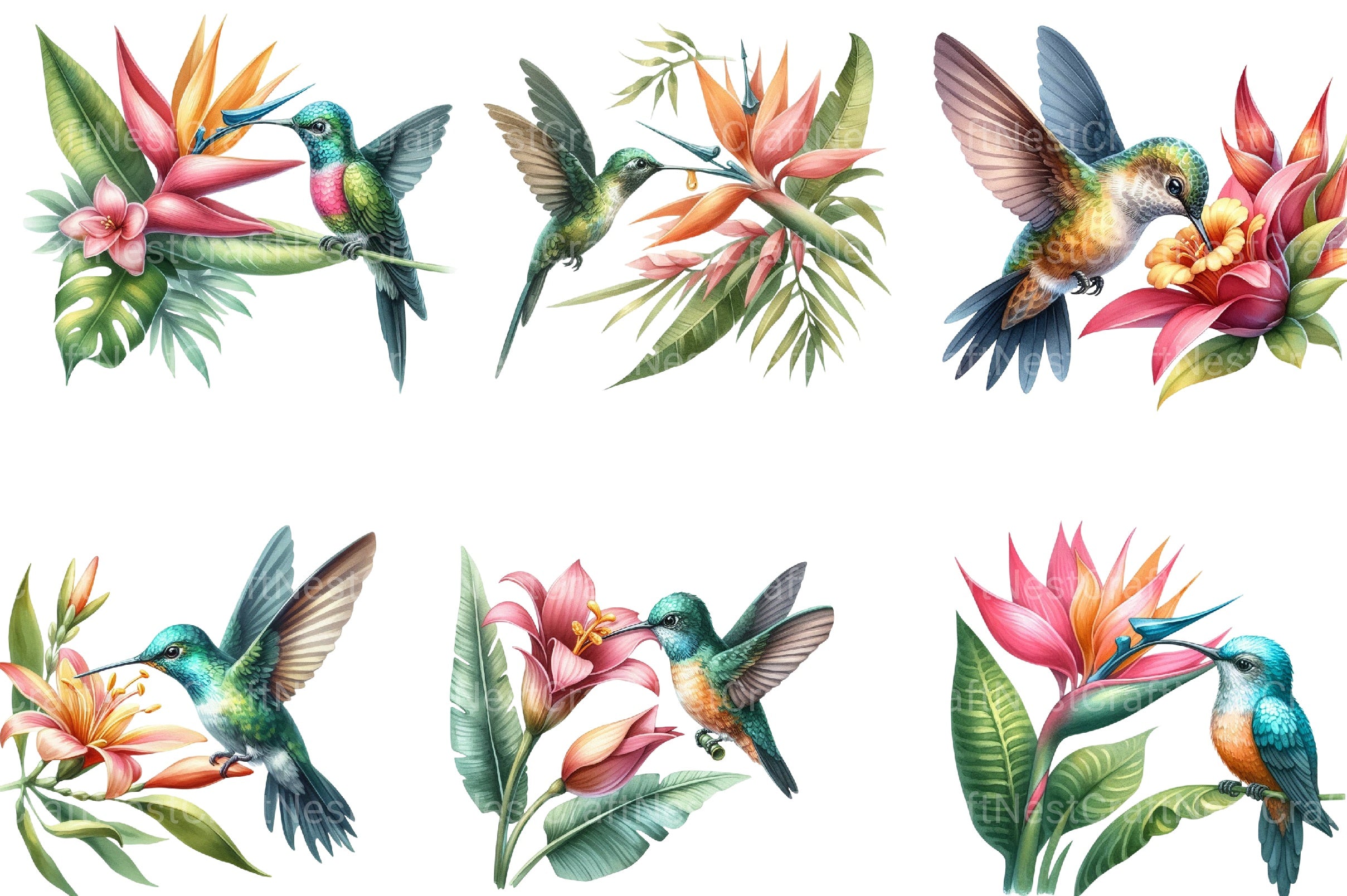 Summer Hummingbird Clipart Bundle - CraftNest - Digital Crafting and Art