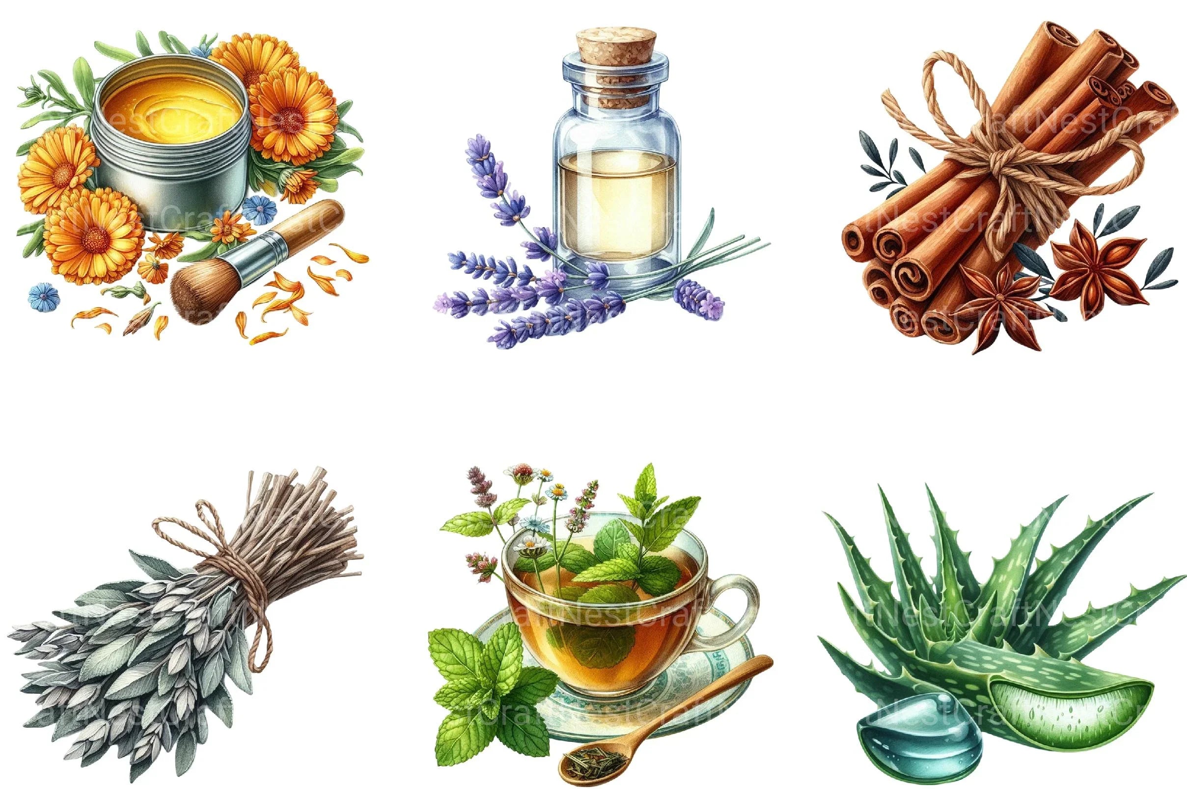 Natural Remedies Clipart - CraftNest - Digital Crafting and Art