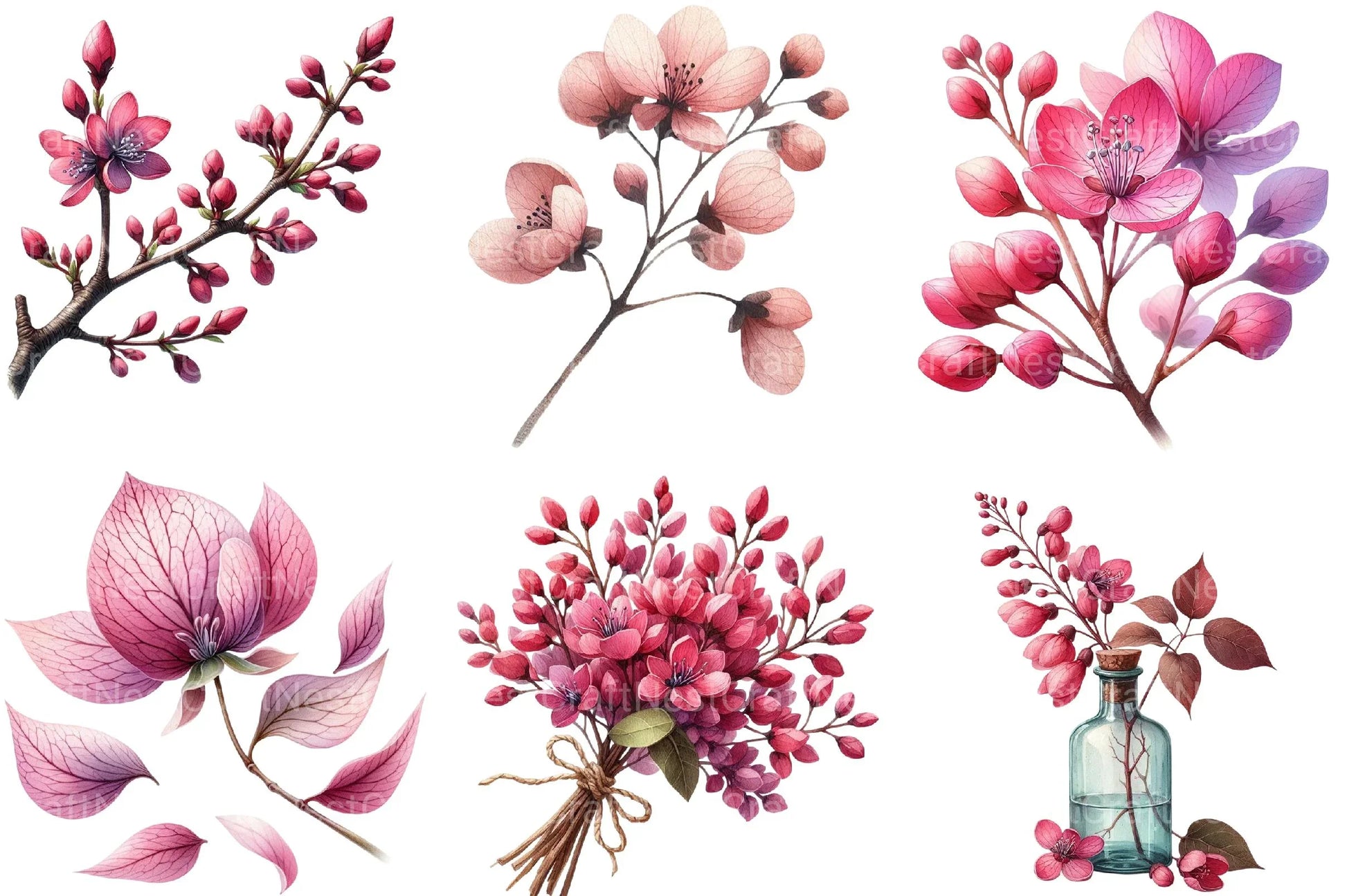 Spring Redbud Flower Clipart - CraftNest - Digital Crafting and Art