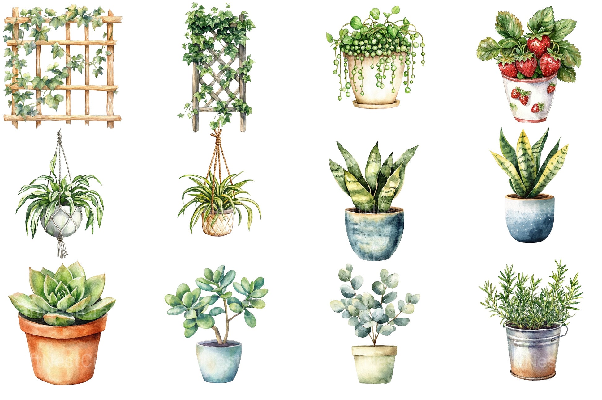 Houseplant Clipart Bundle 2 - CraftNest - Digital Crafting and Art