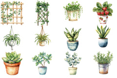 Houseplant Clipart Bundle 2 - CraftNest - Digital Crafting and Art