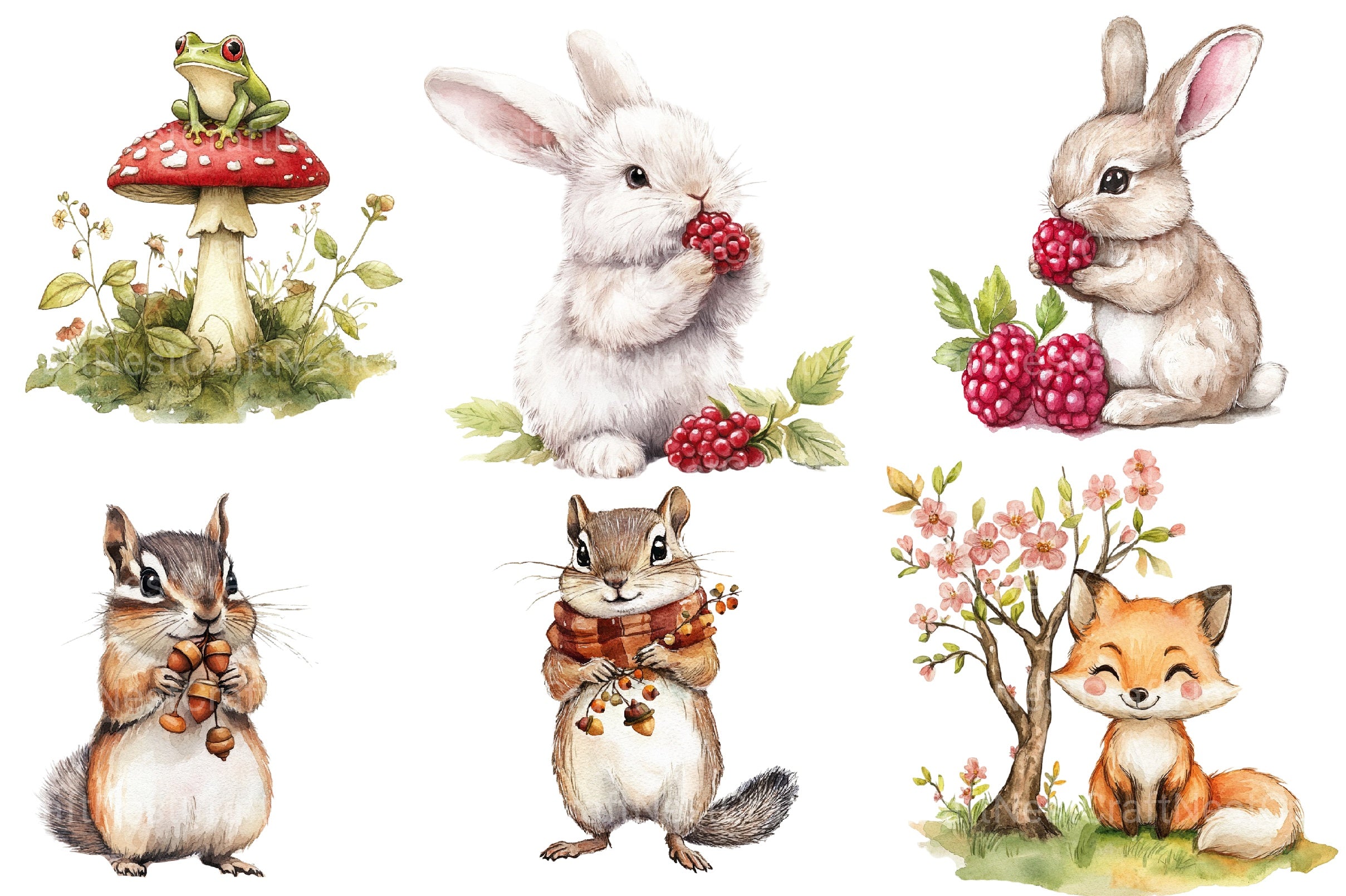 Summer Woodland Animals Clipart Bundle - CraftNest - Digital Crafting and Art
