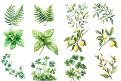Green Summer Foliage Clipart Bundle - CraftNest - Digital Crafting and Art