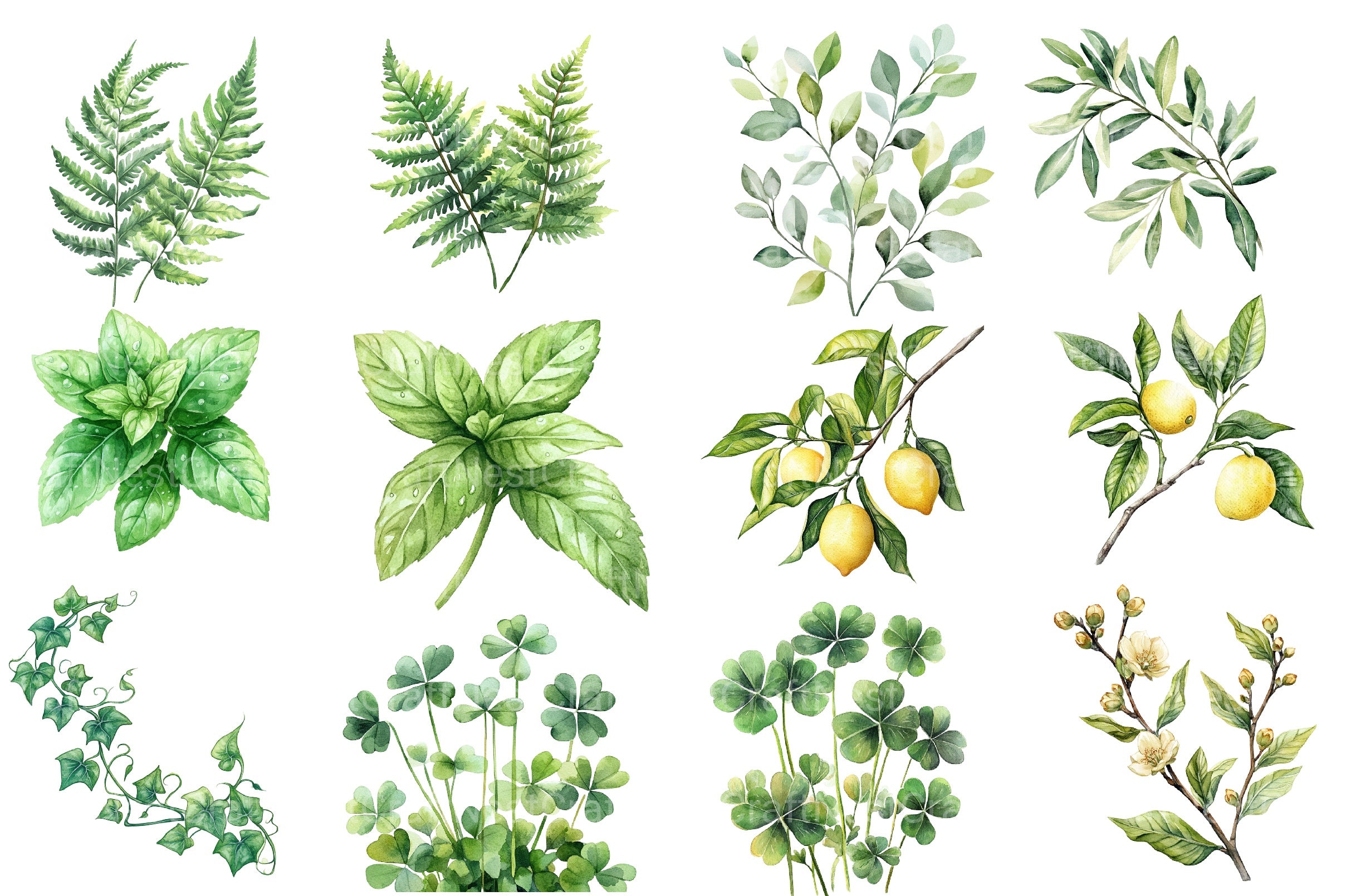 Green Summer Foliage Clipart Bundle - CraftNest - Digital Crafting and Art