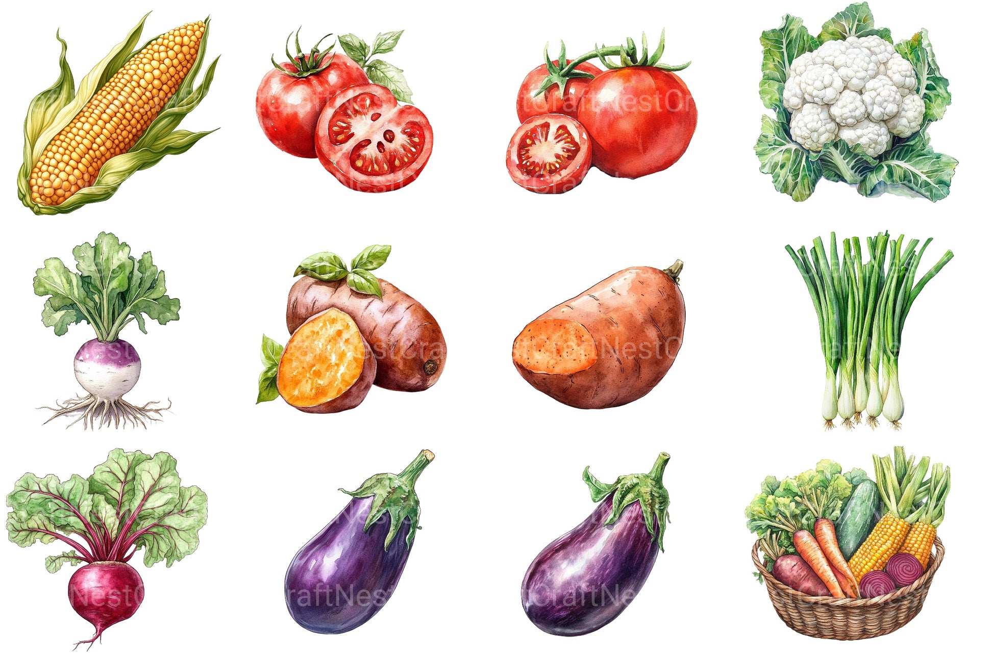 Vegetables Clipart Bundle 2 - CraftNest - Digital Crafting and Art