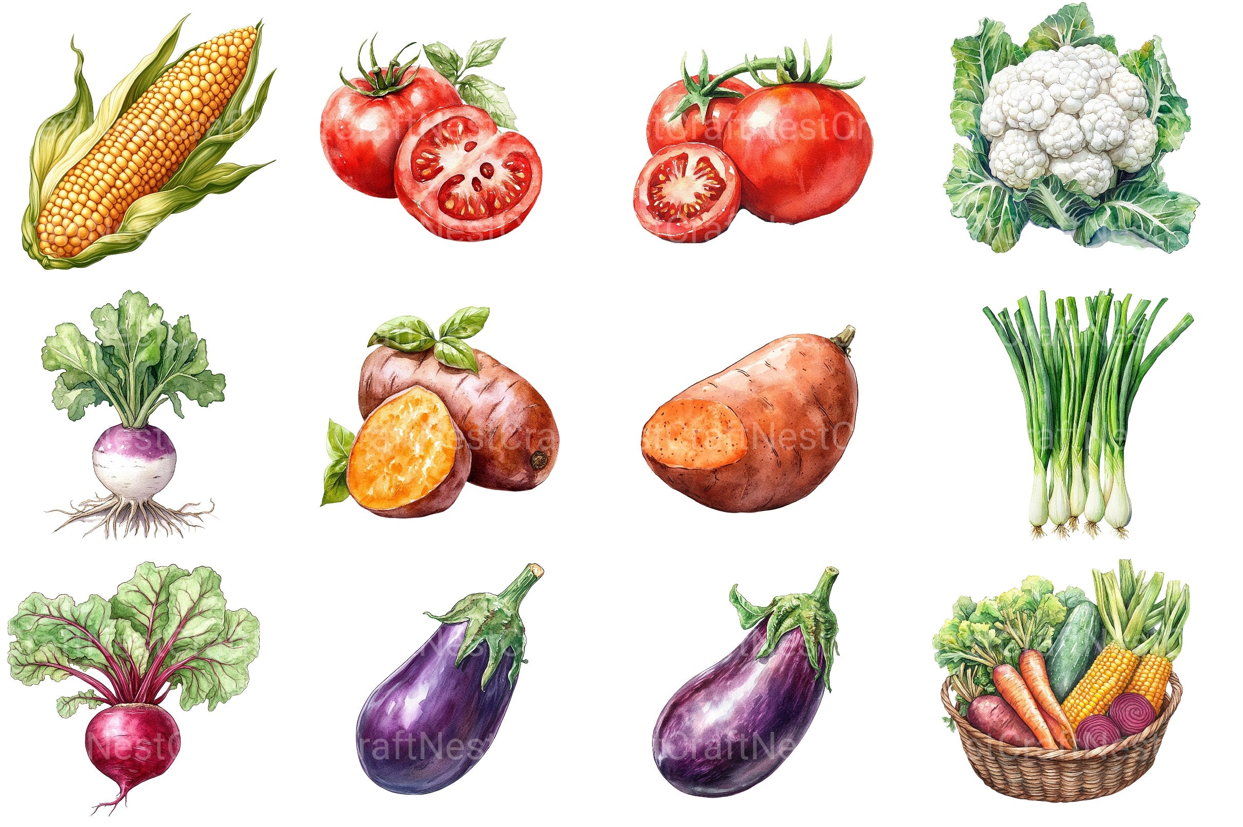 Vegetables Clipart Bundle 2 - CraftNest - Digital Crafting and Art
