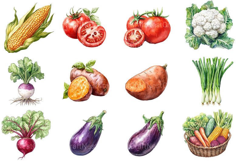 Vegetables Clipart Bundle 2 - CraftNest - Digital Crafting and Art