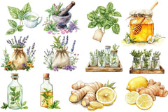Natural Remedies Clipart Bundle 2 - CraftNest - Digital Crafting and Art