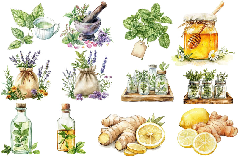Natural Remedies Clipart Bundle 2 - CraftNest - Digital Crafting and Art