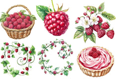 Raspberry Clipart Bundle 2 - CraftNest - Digital Crafting and Art