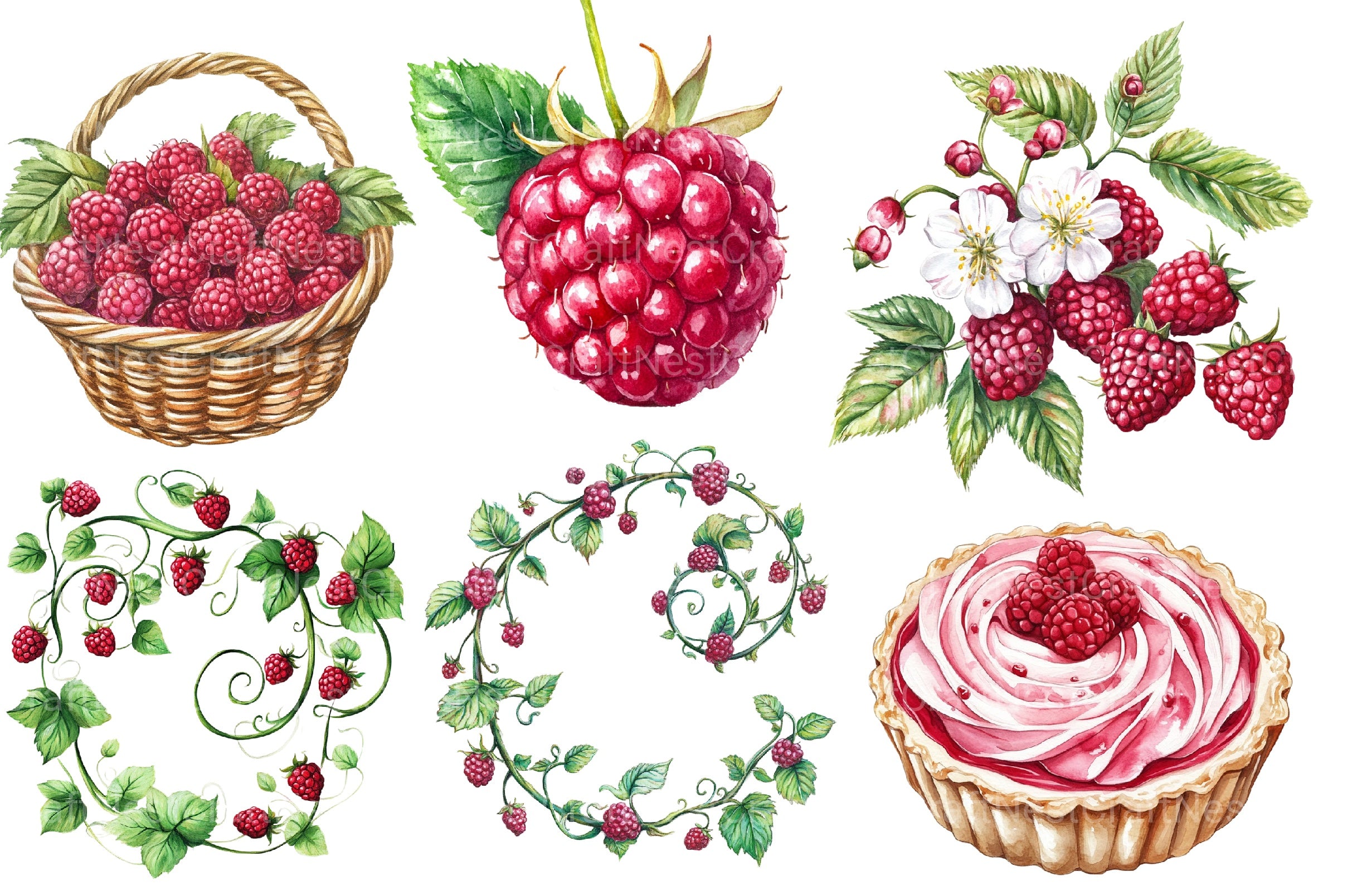 Raspberry Clipart Bundle 2 - CraftNest - Digital Crafting and Art