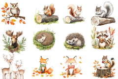 Woodland Forest Animals Clipart Bundle 9 - CraftNest - Digital Crafting and Art