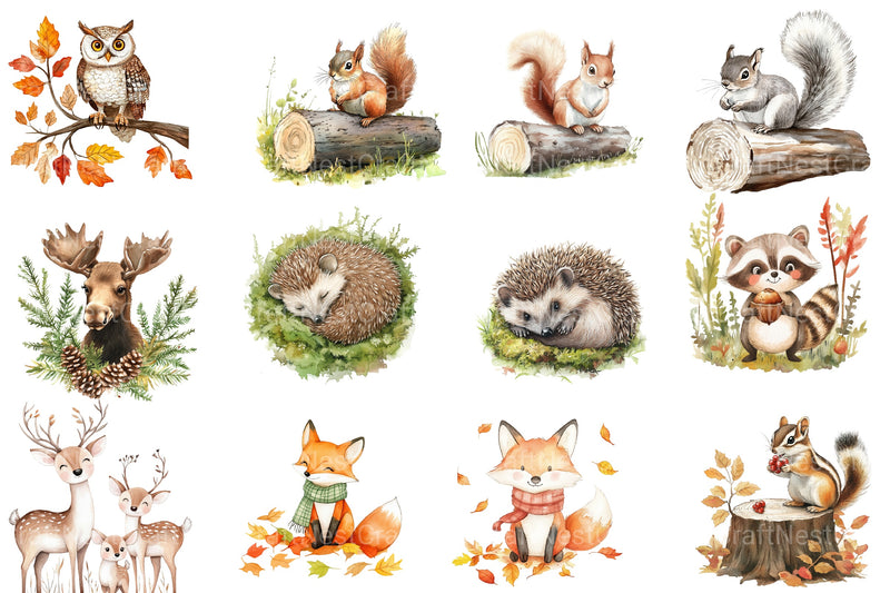 Woodland Forest Animals Clipart Bundle 9 - CraftNest - Digital Crafting and Art