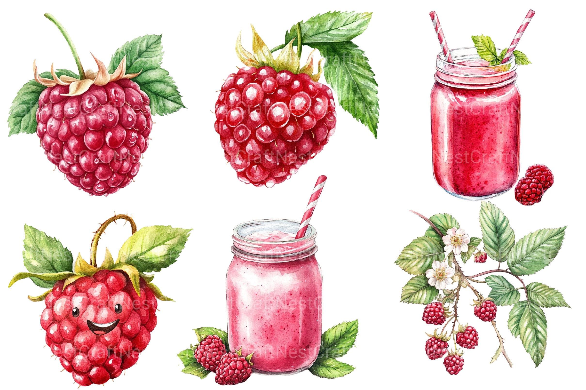 Raspberry Clipart Bundle 2 - CraftNest - Digital Crafting and Art