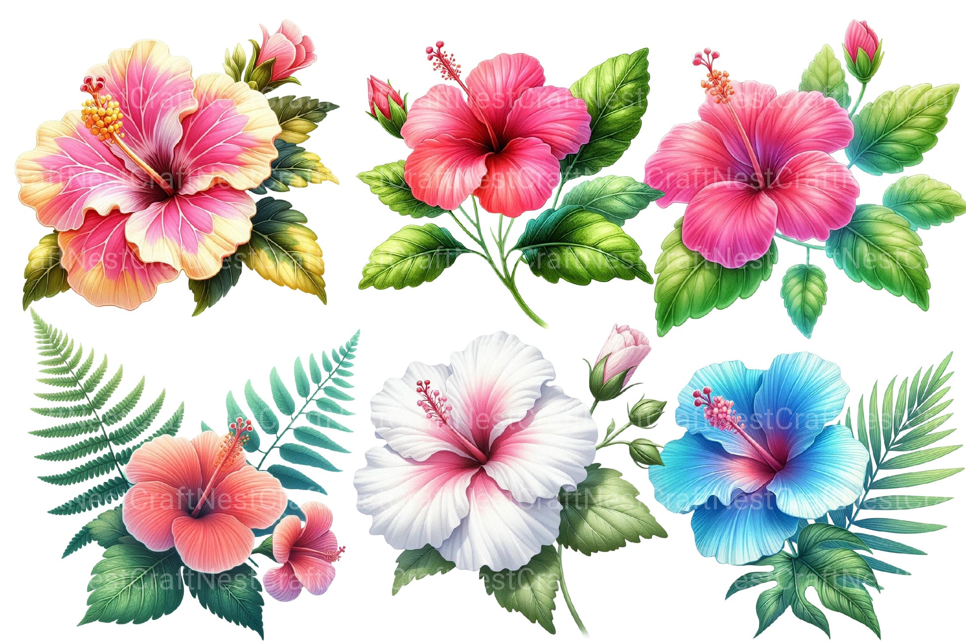 Hibiscus Flowers Clipart Bundle 2 - CraftNest - Digital Crafting and Art