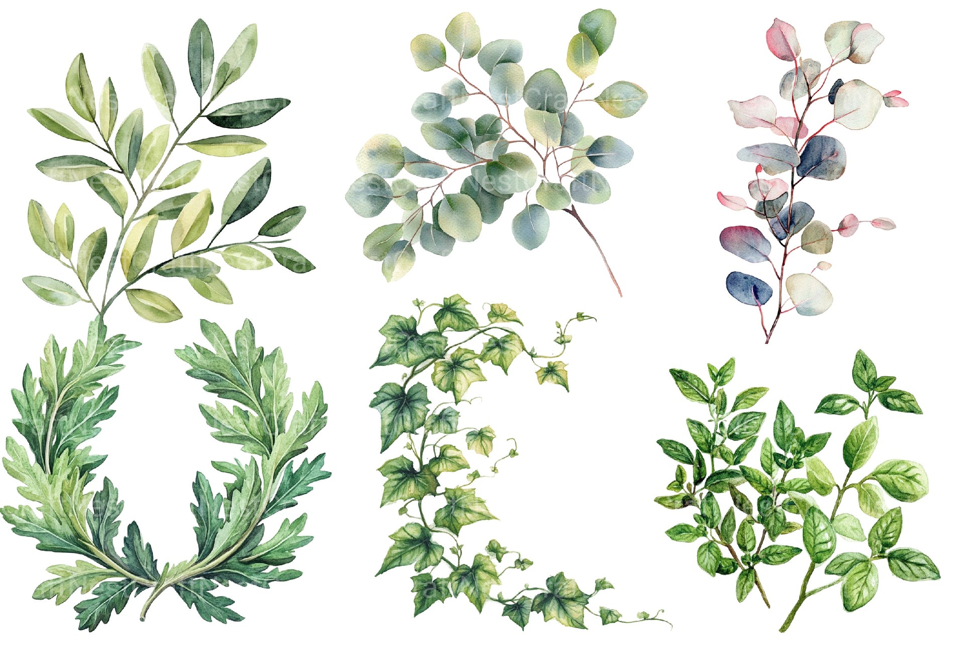 Green Summer Foliage Clipart Bundle - CraftNest - Digital Crafting and Art