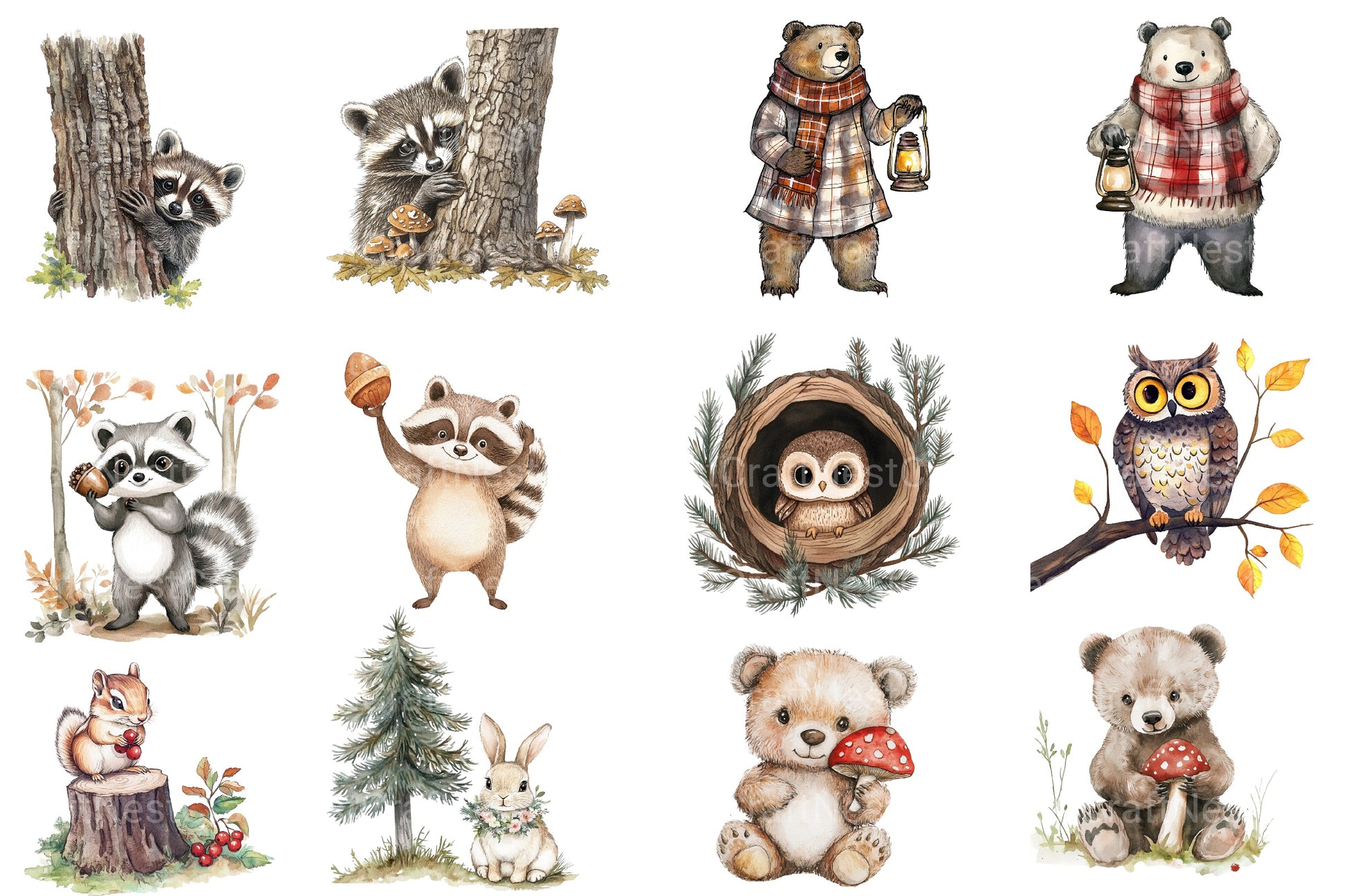 Woodland Forest Animals Clipart Bundle 9 - CraftNest - Digital Crafting and Art