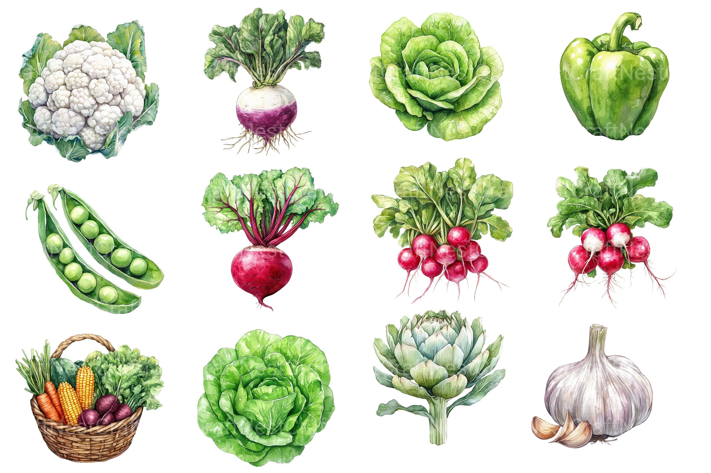 Vegetables Clipart Bundle 2 - CraftNest - Digital Crafting and Art