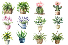 Houseplant Clipart Bundle 2 - CraftNest - Digital Crafting and Art