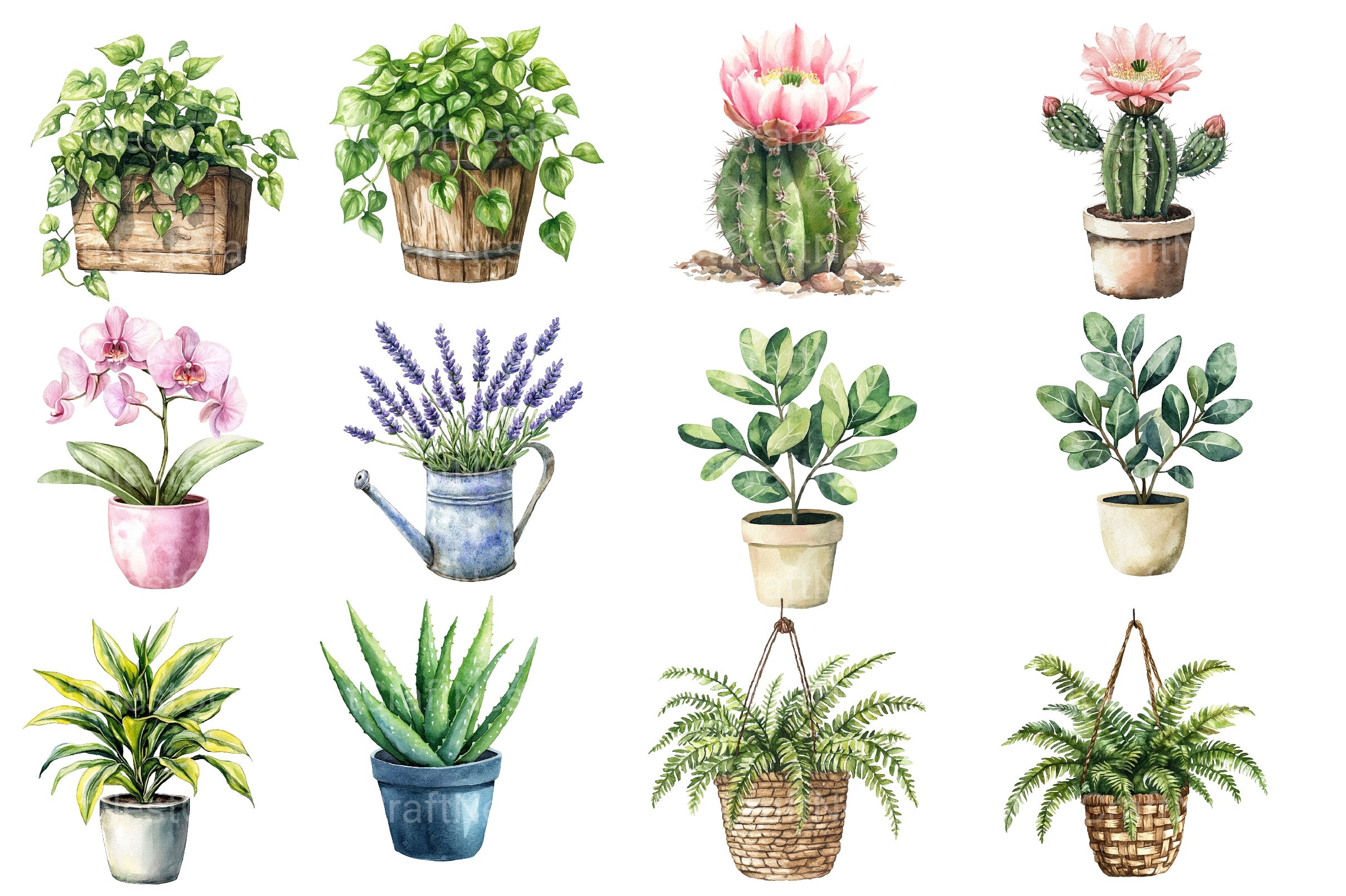 Houseplant Clipart Bundle 2 - CraftNest - Digital Crafting and Art