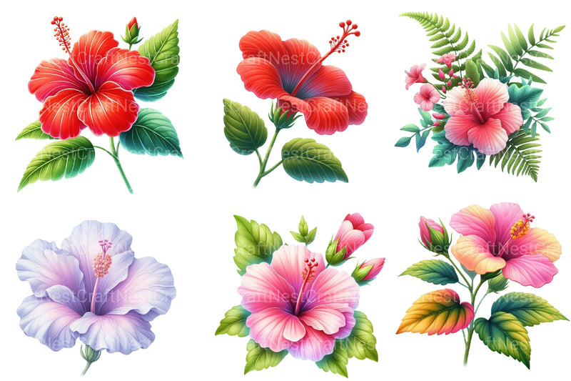 Hibiscus Flowers Clipart Bundle 2 - CraftNest - Digital Crafting and Art