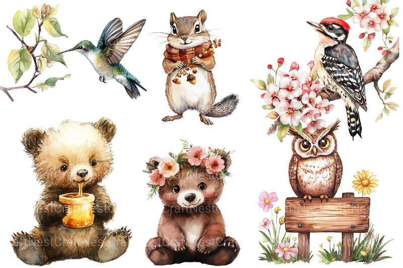 Summer Woodland Animals Clipart Bundle - CraftNest - Digital Crafting and Art